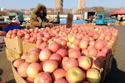 水果批发市场内 地产苹果成销售主角