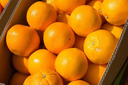 夏天在德国南部的一个当地市场销售水果, 有强烈的红色蓝色橙色和黄色